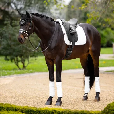 Produktbild von LeMieux Merino+ Half Lined Suede Dressage Schabracke, Farbe:White/White, Größe:M