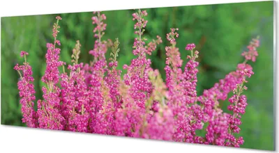 Produktbild von Glasbilder 125x50 Wandkunst Blumen heathers