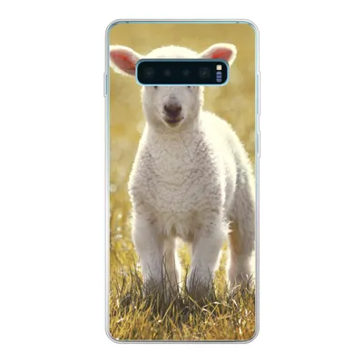 Produktbild von MuchoWow® Handyhülle Schutzhülle Hülle für Samsung Galaxy S10 Lite Schafe - Gras - Sonne Silikon Softcase Handy Hülle - Schutz
