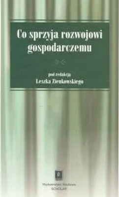 Produktbild von Co sprzyja rozwojowi gospodarczemu