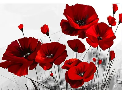 Produktbild von Diamond Painting Rote Mohnblumen Runde Steine 40x30cm Bastelset Wanddeko