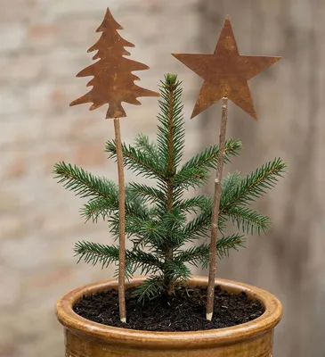 Image de Plume décorative "Sapin & étoile" en métal avec finition rouille véritable, tige en bois, fiche de jardin, décoration de jardin pour l'extérieur