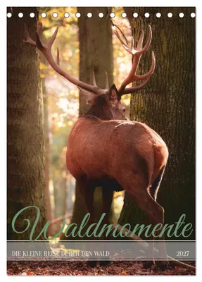 Produktbild von Waldmomente (Tischkalender 2027 DIN A5 hoch), CALVENDO Monatskalender