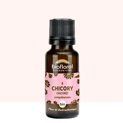 Image de Biofloral - 08 Chicory, Chicorée -- 19,5 gr