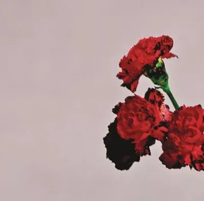 Obrázek produktu pro John Legend - Love In The Future (Reissue) (2 LP)