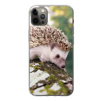 Produktbild von MuchoWow® Handyhülle Schutzhülle Hülle für iPhone 13 Pro Max Baby - Igel - Baum Silikon Softcase Handy Hülle - Mobiltelefon
