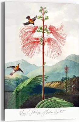 Produktbild von DEQOART Glasbild Echtglas 40x60 cm 'Flug des Kolibris' Wandbild Bild modern Deko
