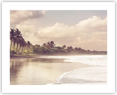Produktbild von Poster - Poster ohne Rahmen - Palmen Strand Wasser - 50x40 cm - Wand Bild - Wanddeko - Wandbilder - Kunstposter - Wandposter - Bilder - Kunstdruck - Wanddekoration - Wandbild - P2XAA50x40-4917