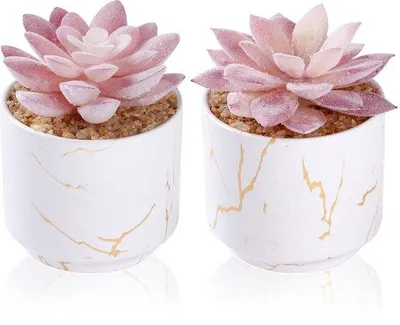 Immagine prodotto di Vasi in Vetroceramica Kunstplanten, confezione da 2, decorazione bianca