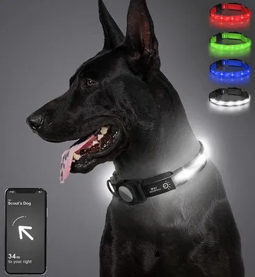Immagine prodotto di Collare con luce per cani - Luce a LED per le passeggiate con il cane
