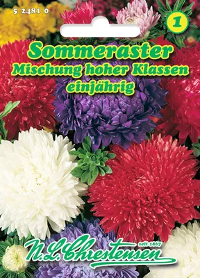 Produktbild von Sommer - Aster Mischung hoher Klassen | Asternsamen von N.L. Chrestensen