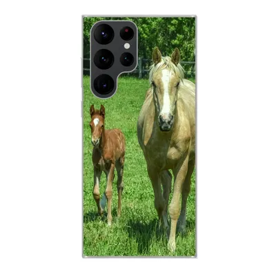 Produktbild von MuchoWow® Handyhülle Schutzhülle Hülle für Samsung Galaxy S22 Ultra Pferd - Fohlen - Tiere Silikon Softcase Handy Hülle - Abbildung