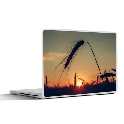 Produktbild von MuchoWow® Laptop Aufkleber Sticker Cover Gras - Herbst - Sonnenuntergang - Jahreszeiten - Landschaft 40x30 cm - Laptop Dekoration - Selbstklebend