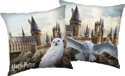 Image de Oreiller Harry Potter Hedwig 02 40x40 cm