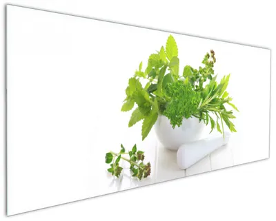 Produktbild von Wallario Küchenrückwand aus Glas, Größe: 125 x 50 cm, Motiv: Welt der Kräuter - verschiedene Kräuter in einem weißen Mörser | Spritzschutz | abwischbar | pflegeleicht | in