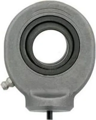 Image de Rotules GK20 -DO 20mm AD 53mm B.16mm INA