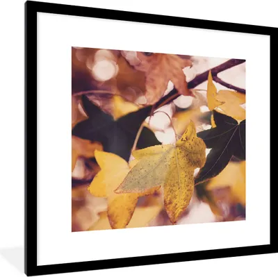 Produktbild von MuchoWow® Gerahmtes Poster Blätter - Ahorn - Herbst - Jahreszeiten 40x40 cm - Poster mit Schwarzem Bilderrahmen Wandposter Rahmen Foto Bilder - Poster - Plakat im Rahmen