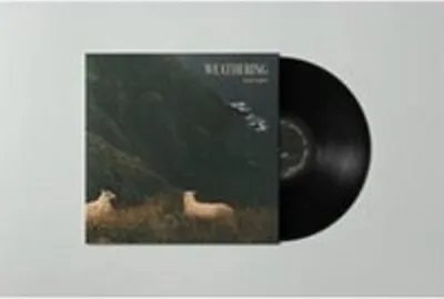 Produktbild von Weathering