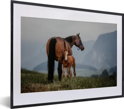 Produktbild von MuchoWow® MuchoWow® Gerahmtes Poster Pferd - Fohlen - Berg 40x30 cm - Poster mit zchwarzem Bilderrahmen - Bilderrahmen - Poster im Rahmen