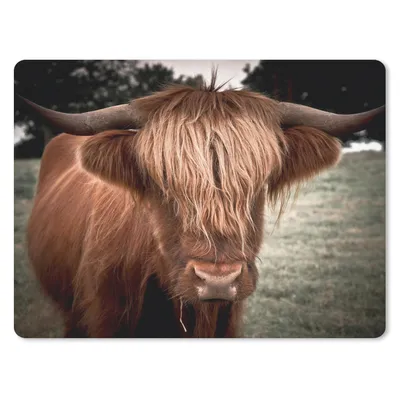 Produktbild von MuchoWow® Mauspad Mousepad Schottischer Highlander - Baum - Gras 23x19 cm - Mousepads - Maus Mat - Pad - Mausunterlage - Schreibtischunterlage - Mauspad
