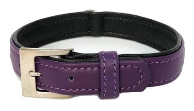 Obrázok produktu pre Nobby 78140-07, Pes, Štandardný obojok, Purpurová, Jednofarebné, XS, 1,2 cm