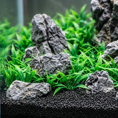 Productafbeelding van Mini Landschapsstenen voor Aquariums en Terrariums