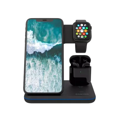 Image de Canyon WS-302 Téléphone portable/Smartphone USB Type-C