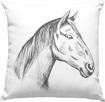 Produktbild von Pferde Deko-Kissen mit Füllung 40x40 Lustig Reiterin Geschenk Pferde Geschenke Mädchen Pferdeliebhaber (Blau)