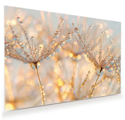 Produktbild von Glasbild 90x60cm in XXL für Wohnzimmer, Schlafzimmer Motiv Tautropfen Panorama