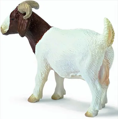 Produktbild von Schleich 13259 Burenziege