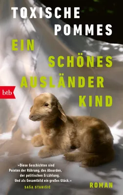 Produktbild von Ein schönes Ausländerkind