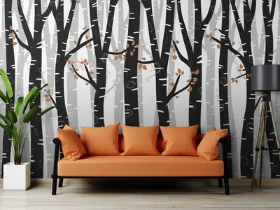 Produktbild von Vlies Fototapete Bäume Birke 400x280 cm Tapeten Wandtapete XXL Wald Natur weiß schwarz c-A-10078-a-b