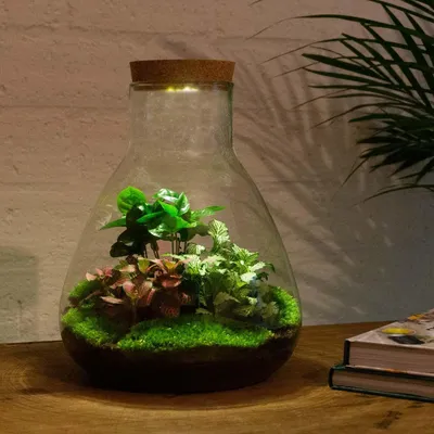 Produktbild von Urbanjngl Flaschengarten Sam mit Lampe - 30 cm