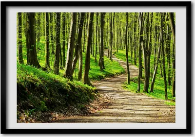 Produktbild von Bild - Bilder - Bilderrahmen - 70 cm x 50 cm - MDF-Rahmen, Wandkunst Der Weg in den Wald