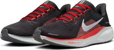 Productafbeelding van Nike Pegasus 41, zwart, maat 9.5