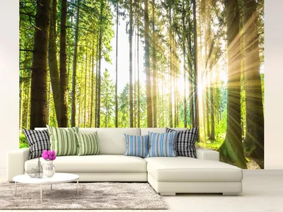 Produktbild von Vlies Fototapete Wald 3D 400x280 cm Tapeten Wandtapete XXL Landschaft Natur Grün Bäume Sonnenuntergang c-B-0098-a-b