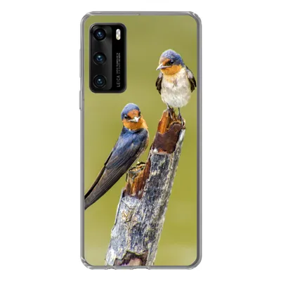 Produktbild von MuchoWow® Handyhülle Schutzhülle Hülle für Huawei P40 Vögel - Zweig - Porträt Silikon Softcase Handy Hülle - Handytasche