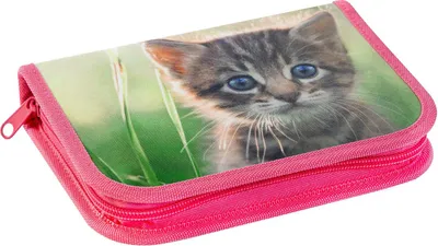 Immagine prodotto di EBERHARD FABER 577557 Federmäppchen Katze Motiv