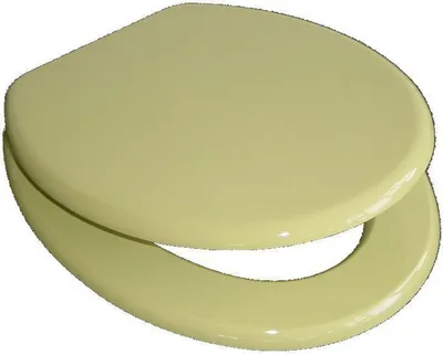 Produktbild von VCM WC Sitz Toilettendeckel Klodeckel Toilettensitz Deckel Brille Klobrille Ascoly Holzoptik mit stabilem Holzkern Grün