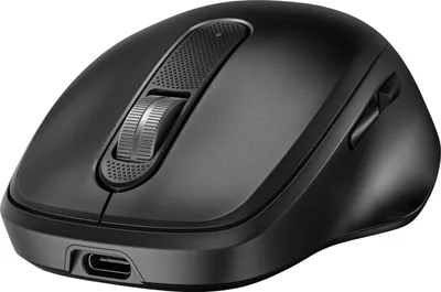 Obrázok produktu pre HP Ultrarýchla nabíjateľná bezdrôtová myš 510, Všestranný, RF Wireless, 4000 DPI, Čierna