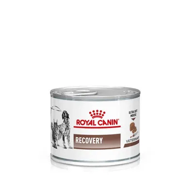 Produktbild von Royal Canin Veterinary Canine Recovery Mousse 12 x 195 g