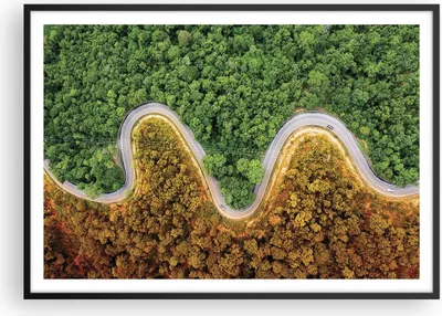 Produktbild von Gerahmtes Poster - Schwarzer Rahmen - Luftaufnahmen Weg Wald - 100x70 cm - Wand Bild - Wanddeko - Wandbilder - Kunstposter - Wandposter - Bilderrahmen - Bilder - Kunstdruck - P2BAA100x70-4659