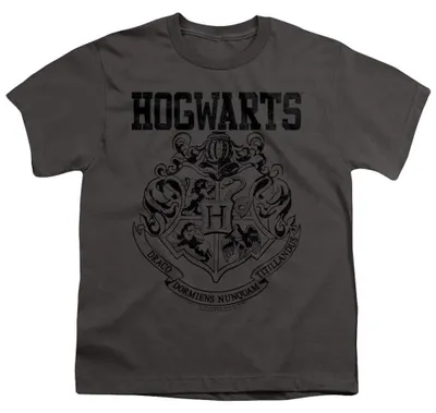 Immagine prodotto di Harry Potter - T-shirt per bambini, modello sportivo TV37291 (taglia 140-146) (colore antracite)