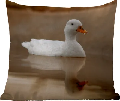 Produktbild von MuchoWow® Outdoor Kissen - Ente - Vogel - Wasser - Weiß - 50x50 cm - Wetterfest - Lounge Kissen - Komfortabel - Kissen mit Bild