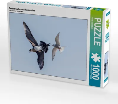 Produktbild von Calvendo Seeschwalbe und Raubmöwe 1000 Teile Puzzle quer 640x480mm, Wittich Reinhold; 7457748