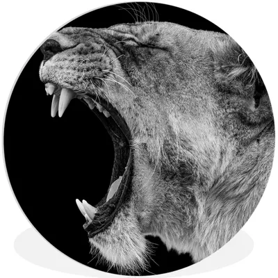 Produktbild von MuchoWow® Rundes Wandbild - Runde Bilder Tiere - Löwe - Schwarz - Weiß - Porträt Ø 30 cm Kreis Wanddekoration Kunststoff - Wandkreis - Wandschmuck - Schlafzimmer - Bilder - Der Kreis - Kunst für die Wohnung - Plastik - Kunstdruck - Wandbild