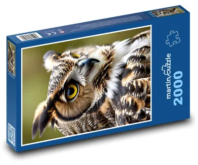 Zdjęcie produktu dla martinpuzzle - Puzzle 2000 - Sowa z rohatką