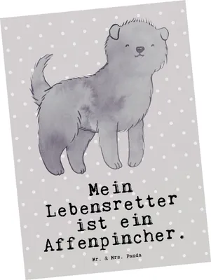 Produktbild von Mr. & Mrs. Panda Postkarte Affenpincher Lebensretter - Grau Pastell - Geschenk, Ansichtskarte, einzelkarte, Ansichtskarten, Grußkarte, Postkarten