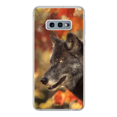 Produktbild von MuchoWow® Handyhülle Schutzhülle Hülle für Samsung Galaxy S10e Wolf - Nahaufnahme - Blätter Silikon Softcase Handy Hülle - Handy
