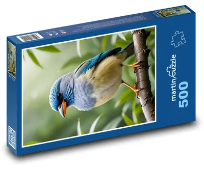 Obrázok produktu pre Puzzle 500 Tropický vták v džungli - martinpuzzle